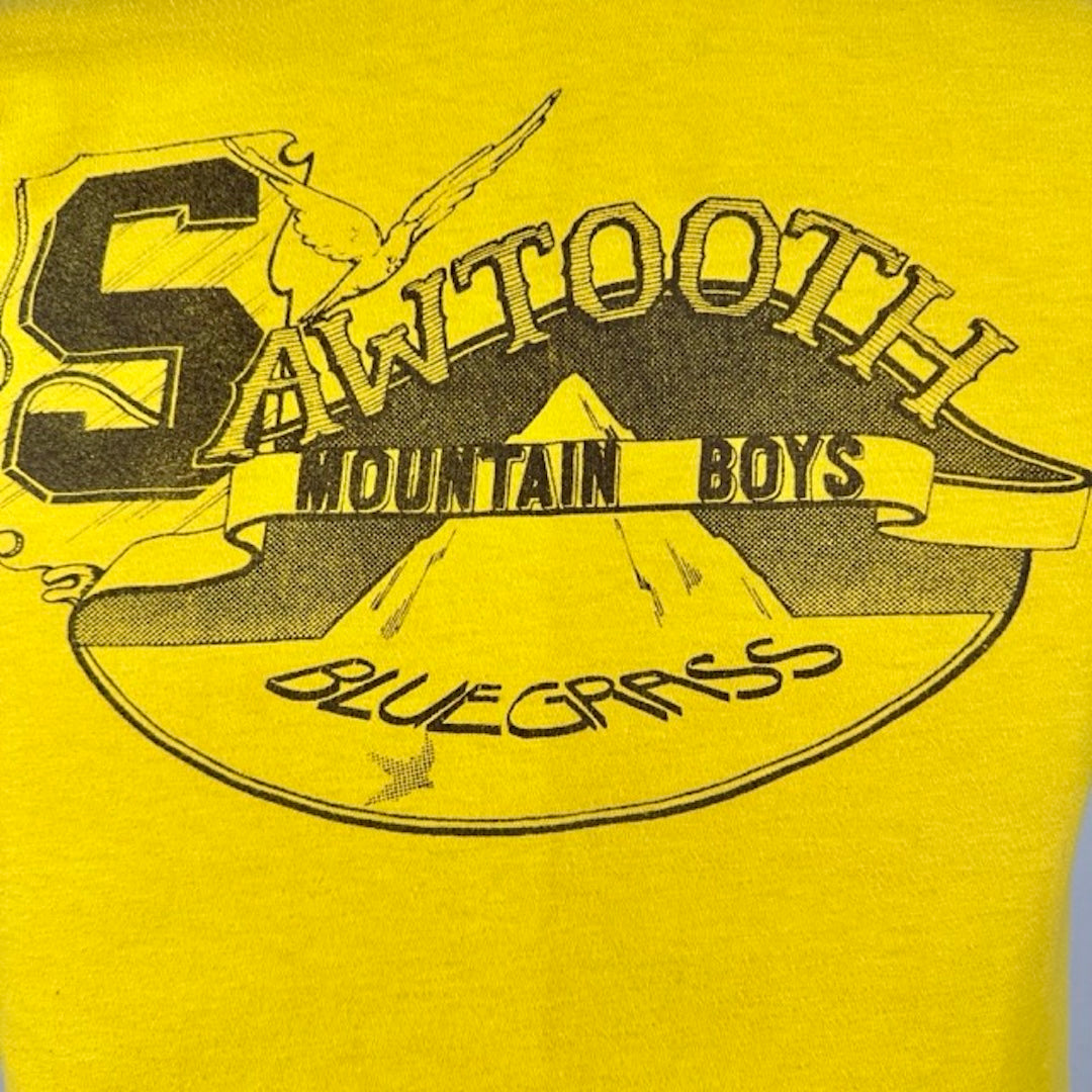 Close up of center chest graphic of band name printed around mountain silhouette under flying bird.