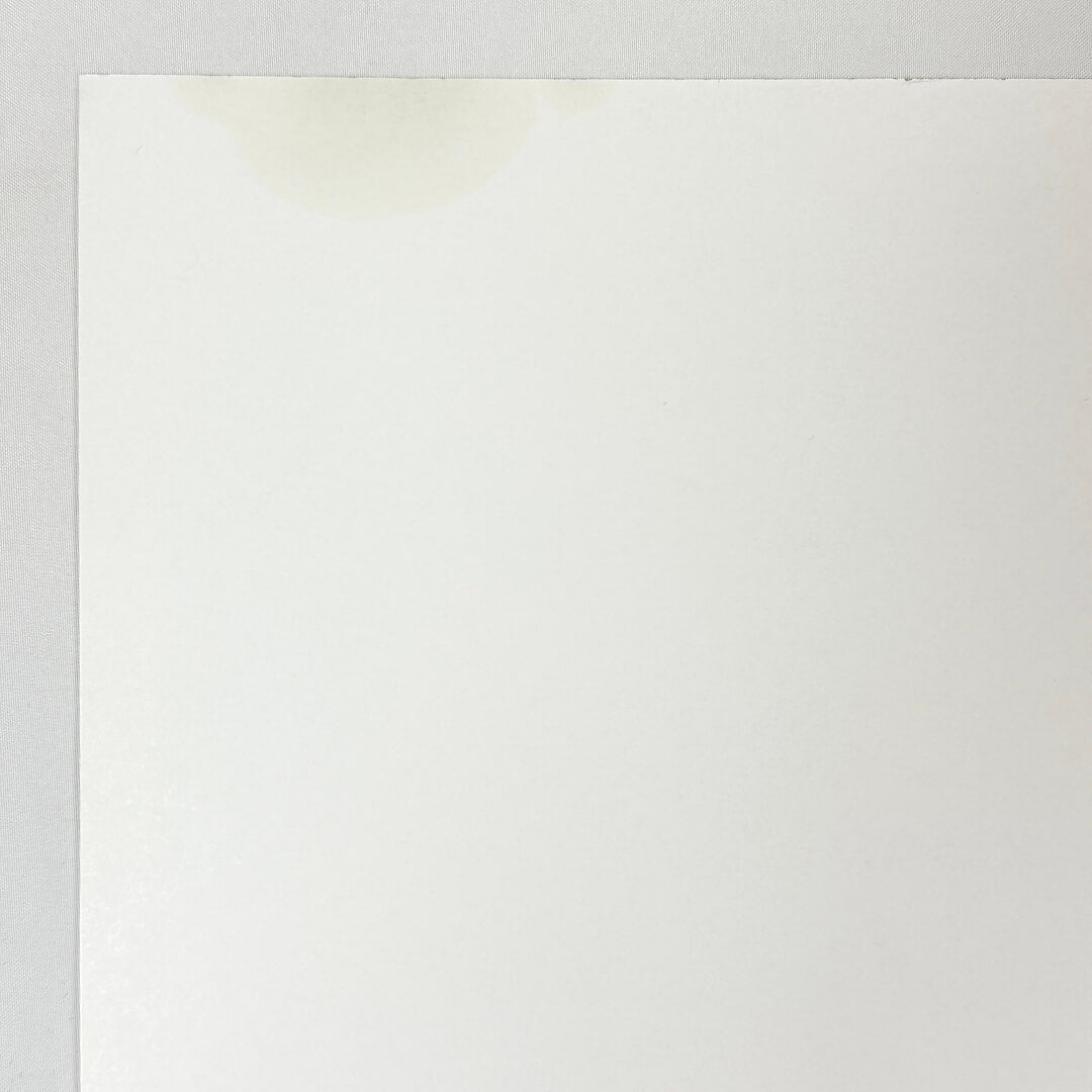 Sessanta - 2024 - Signed Tour Poster by Zombie Yeti & Zoltron