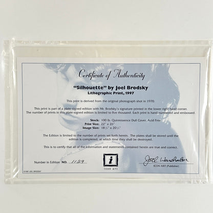 Certificate of Authenticity for 'Silhouette' by Joel Brodsky with artwork in the background.
