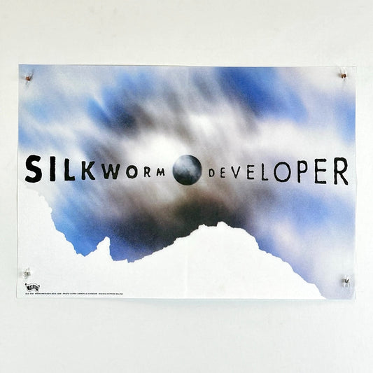 Silk Worm Developer logo with abstract cloud design on a white background
