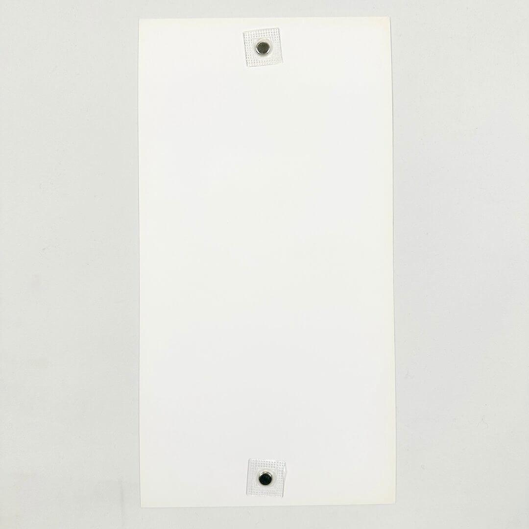 The Snow Bride - Print by Tara McPherson