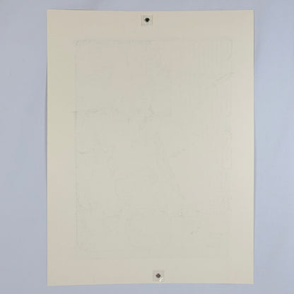 Backside of poster showing no obvious damage. 