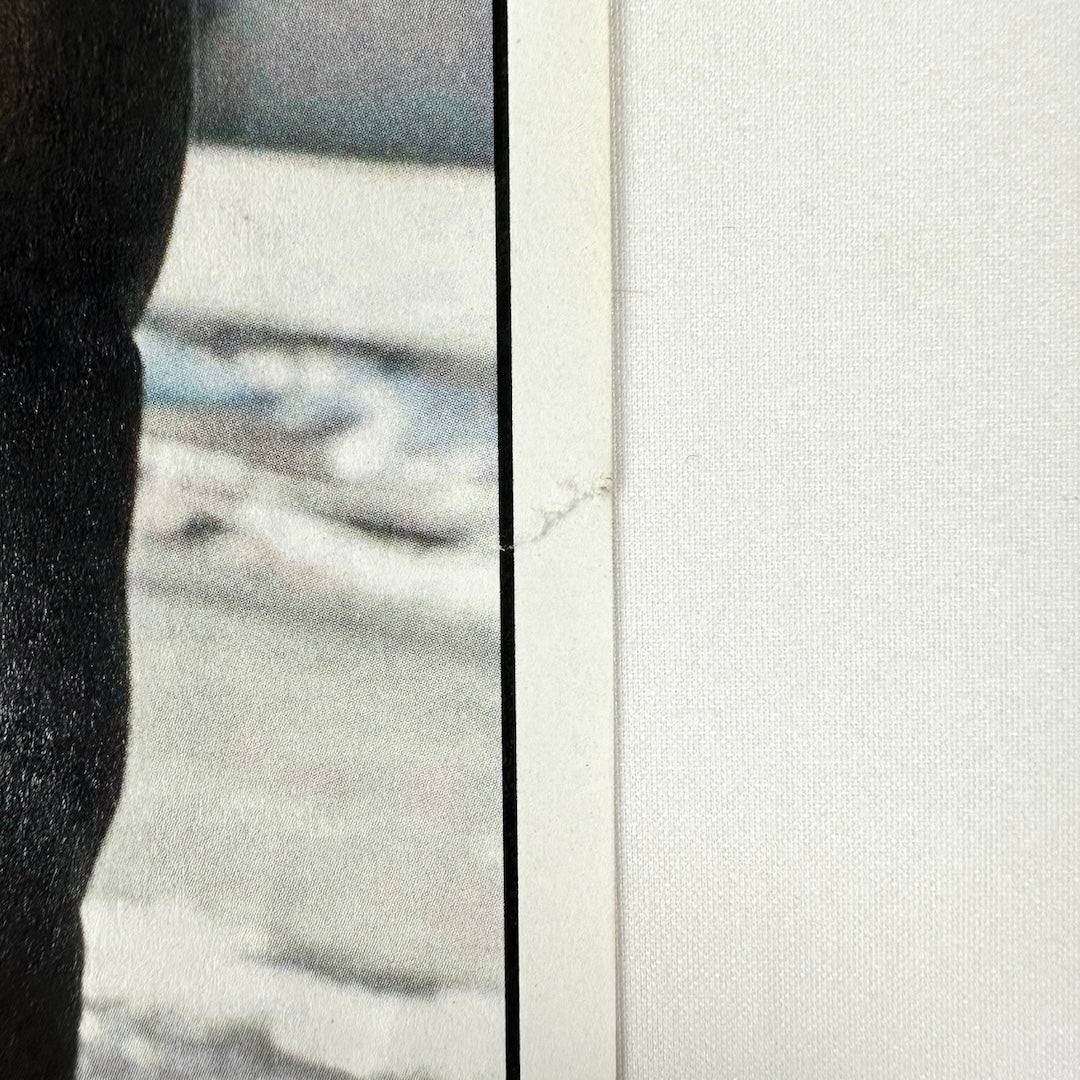 Close up of small tear of right side of poster, ending at black line border.