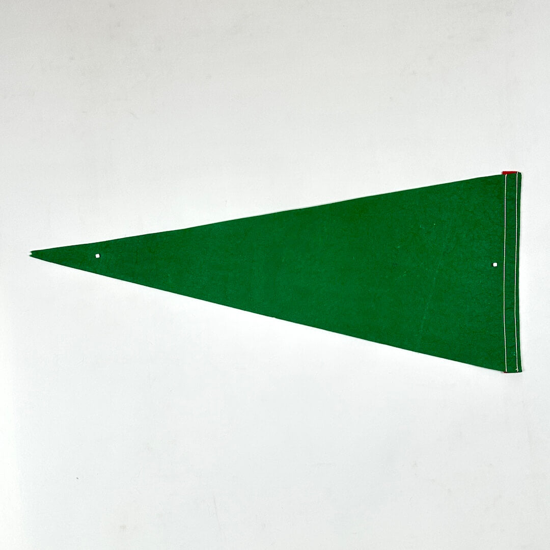 Green pennant flag on a white background