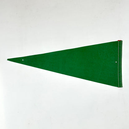 Green pennant flag on a white background