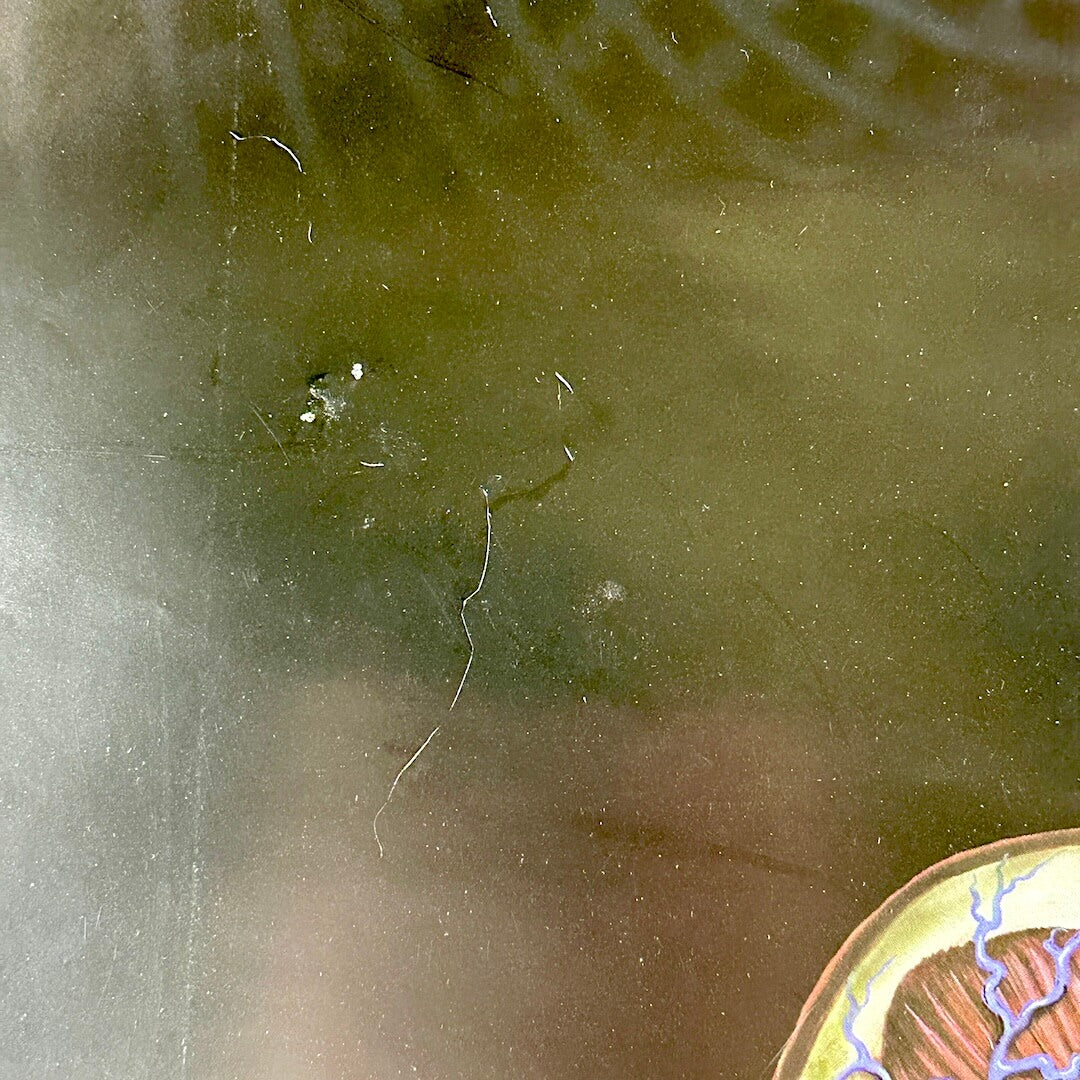 Close up of holes and scratches on face of poster.