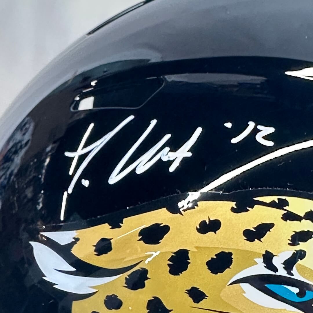 Black helmet with a leopard design and signature on a white background